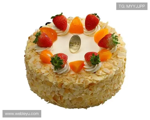 乐鱼乐鱼官方网站登录最新版常见问题解答，帮助用户快速解决登录中的疑难