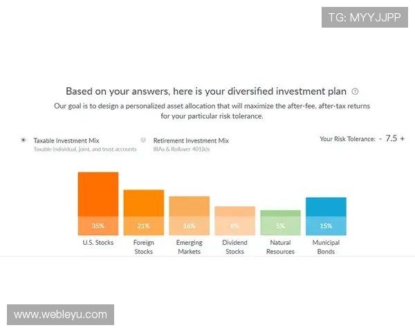乐投控股有限公司：财务状况与投资回报的详细分析报告