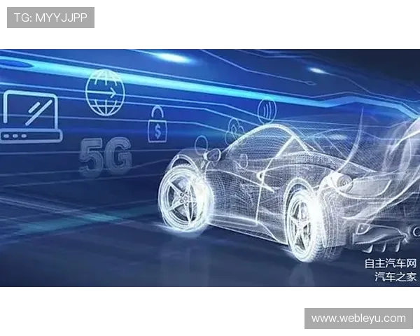 乐鱼体育数字站全面解析体育数字化趋势及其对行业变革的深远影响