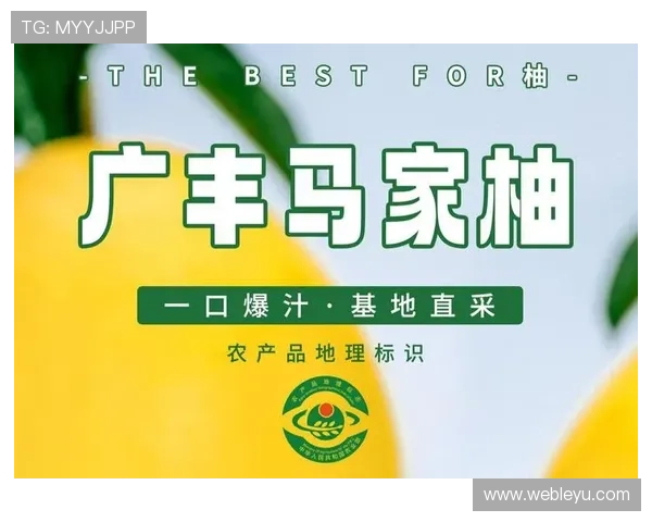乐鱼官网全网最新活动资讯,助您轻松掌握乐鱼官网丰富的优惠与福利方案 乐鱼官网全网最新活动资讯,助您轻松掌握乐鱼官网丰富的优惠与福利方案