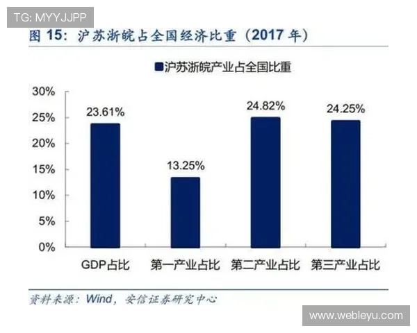 乐鱼电子股份有限公司在全球市场的扩展策略与合作伙伴关系建立