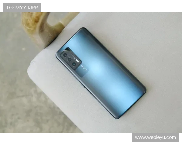 乐鱼电竞真假辨别指南让玩家放心游戏体验无后顾之忧