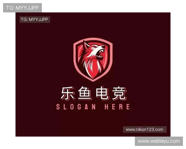 乐鱼电竞官网平台的用户评价与口碑分析，看看广大玩家怎么说这平台