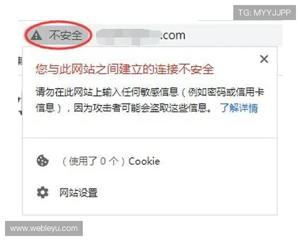 乐鱼的网址更新公告，第一时间掌握最新的网址变更信息和安全提示
