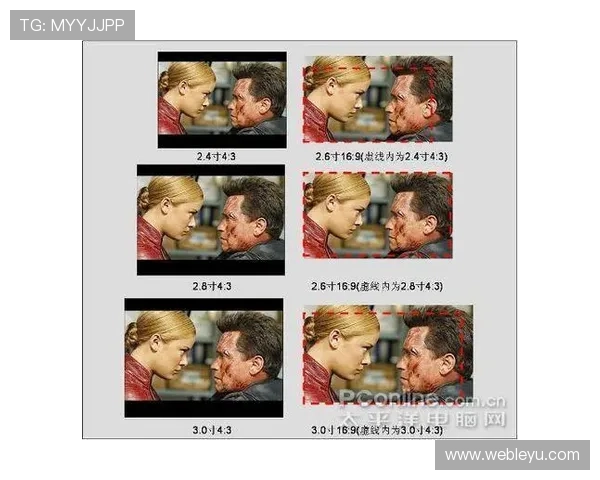 乐鱼网rmvb视频下载步骤详解,快速掌握rmvb文件免费下载方法