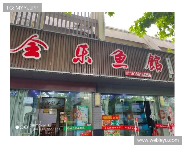 乐鱼网页版在线登录官网详细教程，帮助新手快速掌握登录流程与操作技巧